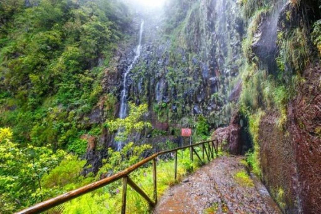 Villa Scirocco Madeira - Ocean View マシコ エクステリア 写真