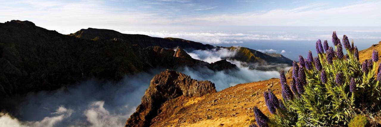 Villa Scirocco Madeira - Ocean View マシコ エクステリア 写真