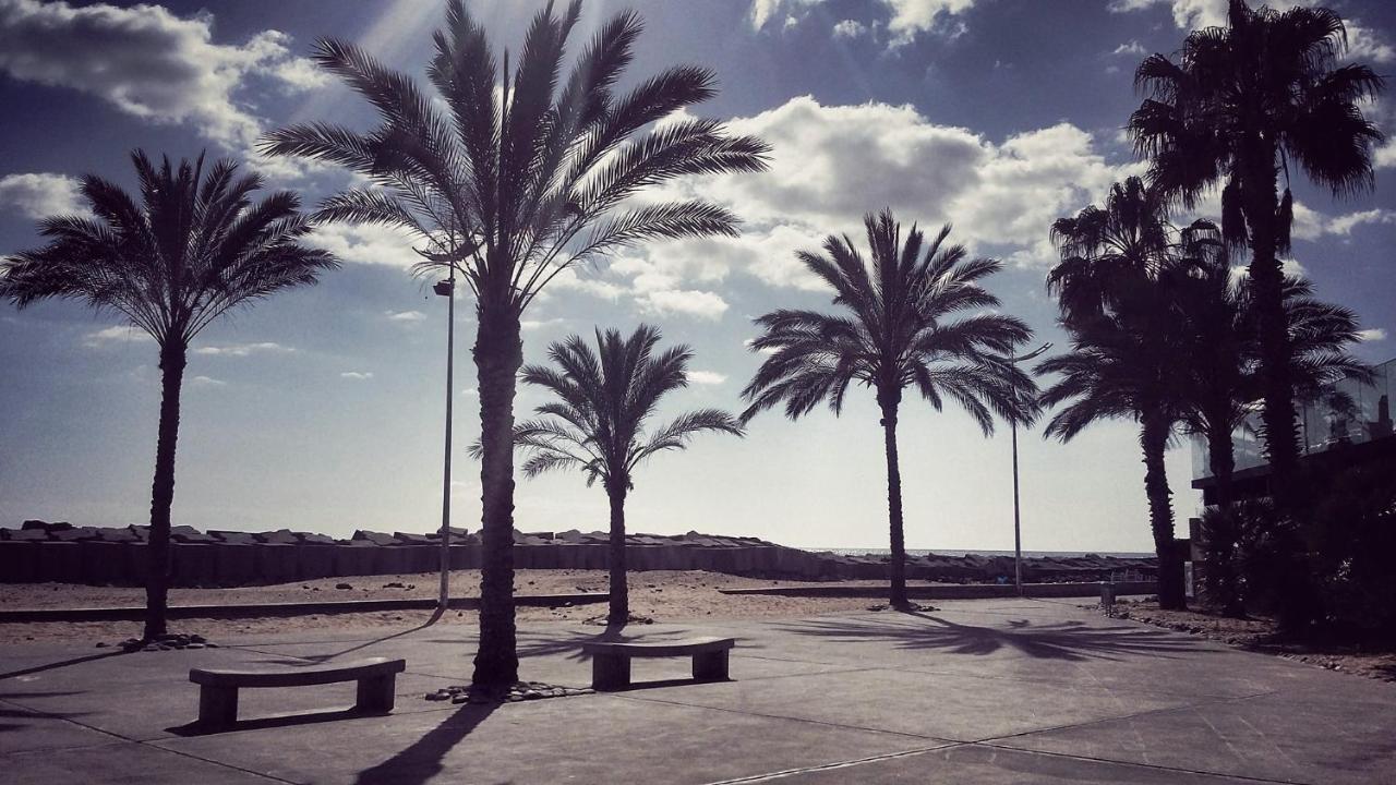 Villa Scirocco Madeira - Ocean View マシコ エクステリア 写真