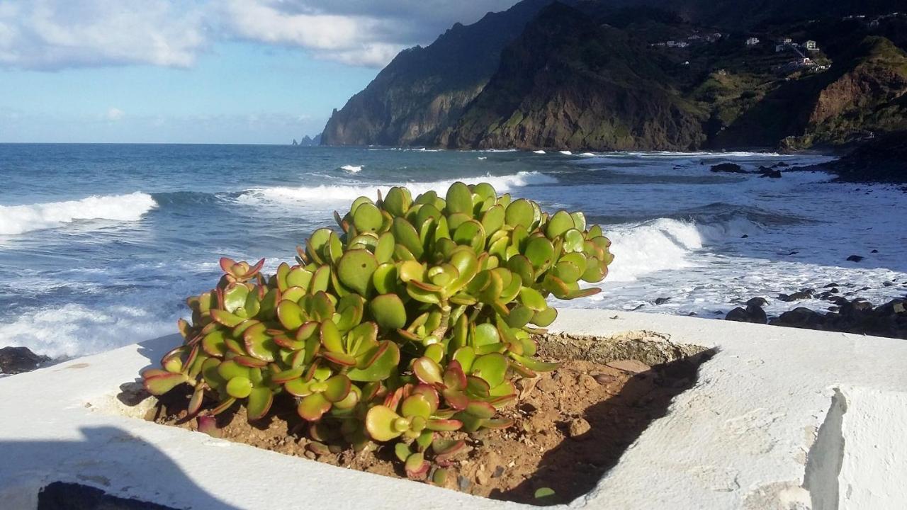 Villa Scirocco Madeira - Ocean View マシコ エクステリア 写真